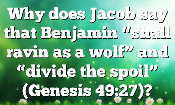 Why does Jacob say that Benjamin “shall ravin as a wolf” and “divide the spoil” (Genesis 49:27)?