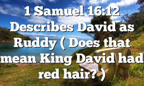 1 Samuel 16:12 Describes David as Ruddy ( Does that mean King David had red hair? )