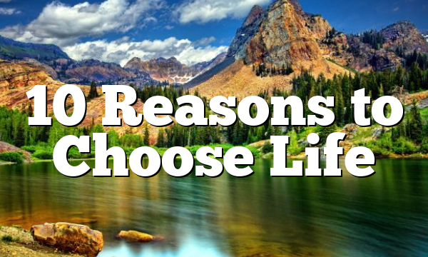 10 Reasons to Choose Life
