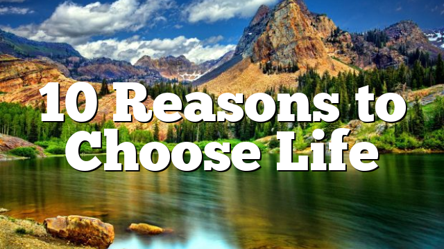 10 Reasons to Choose Life