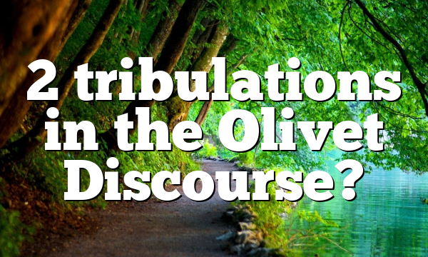2 tribulations in the Olivet Discourse?