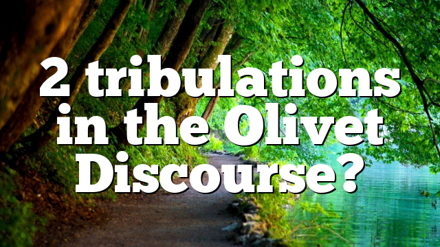2 tribulations in the Olivet Discourse?
