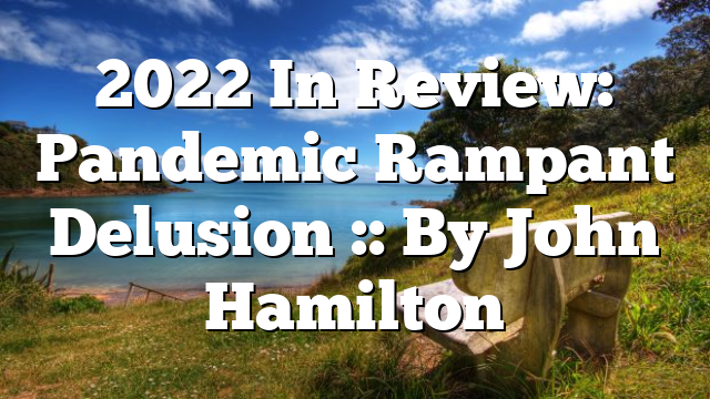2022 In Review: Pandemic Rampant Delusion :: By John Hamilton