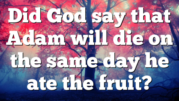 Did God say that Adam will die on the same day he ate the fruit?