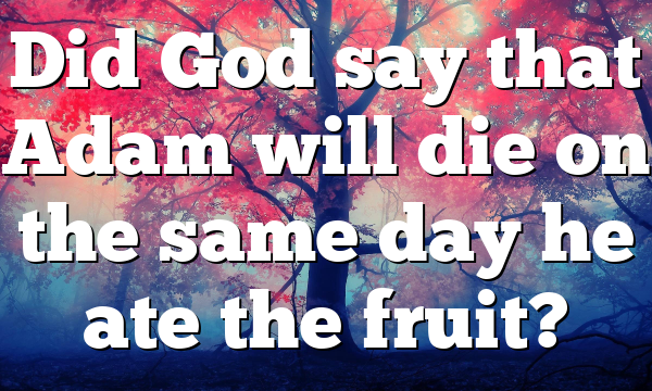 Did God say that Adam will die on the same day he ate the fruit?