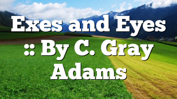 Exes and Eyes :: By C. Gray Adams