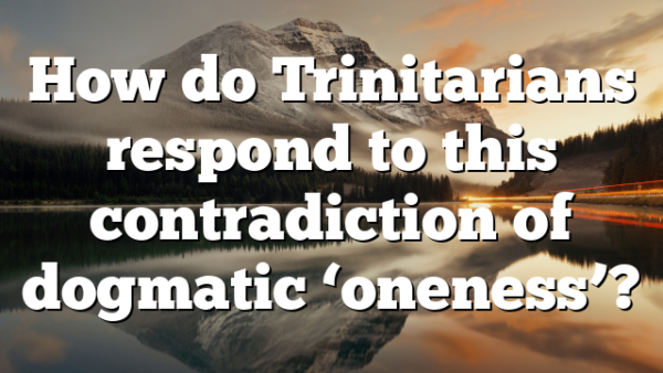How do Trinitarians respond to this contradiction of dogmatic ‘oneness’?