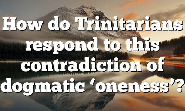 How do Trinitarians respond to this contradiction of dogmatic ‘oneness’?