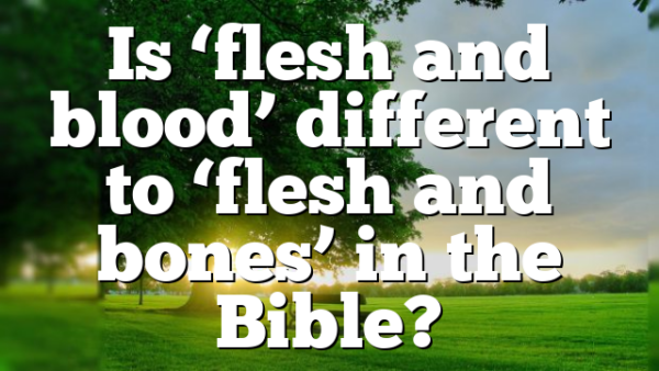 Is ‘flesh and blood’ different to ‘flesh and bones’ in the Bible?