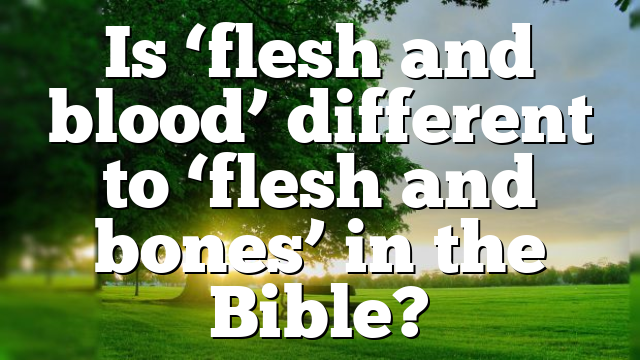 Is ‘flesh and blood’ different to ‘flesh and bones’ in the Bible?