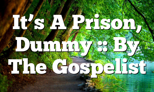 It’s A Prison, Dummy :: By The Gospelist