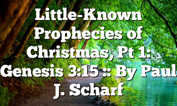 Little-Known Prophecies of Christmas, Pt 1: Genesis 3:15 :: By Paul J. Scharf