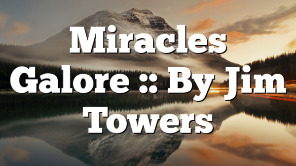 Miracles Galore :: By Jim Towers