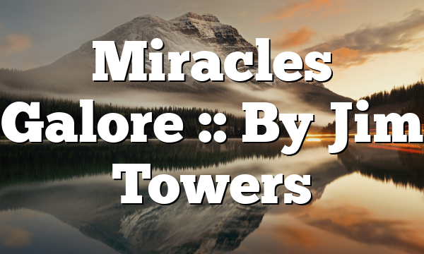 Miracles Galore :: By Jim Towers