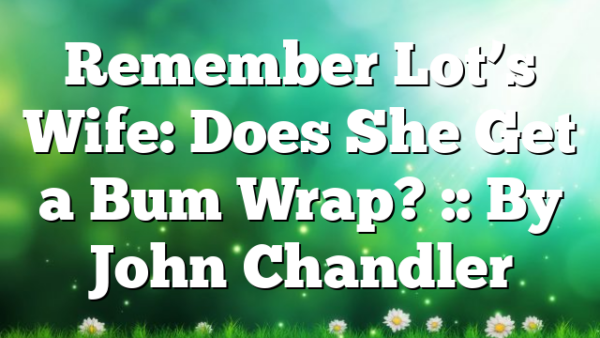 Remember Lot’s Wife: Does She Get a Bum Wrap? :: By John Chandler