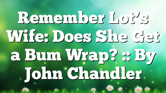 Remember Lot’s Wife: Does She Get a Bum Wrap? :: By John Chandler