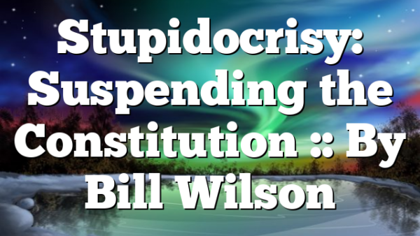 Stupidocrisy: Suspending the Constitution :: By Bill Wilson