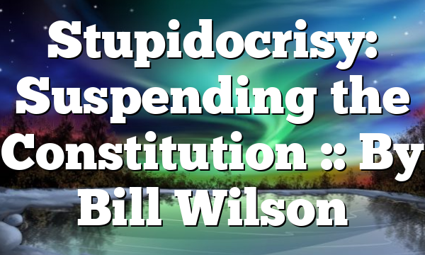 Stupidocrisy: Suspending the Constitution :: By Bill Wilson
