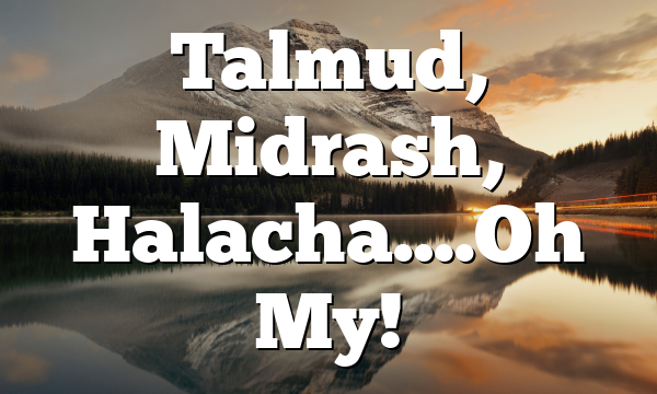 Talmud, Midrash, Halacha….Oh My!