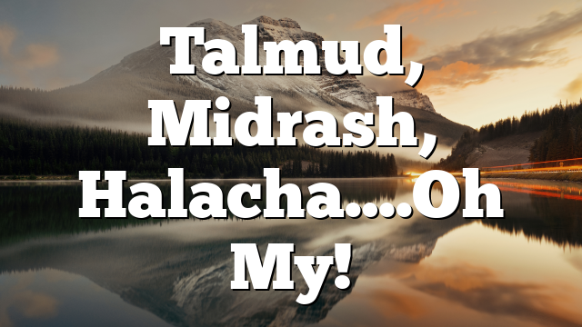 Talmud, Midrash, Halacha….Oh My!