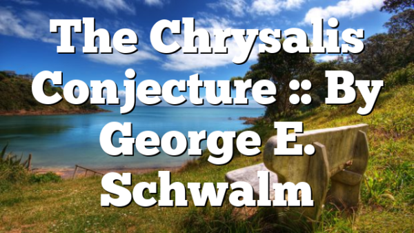 The Chrysalis Conjecture :: By George E. Schwalm