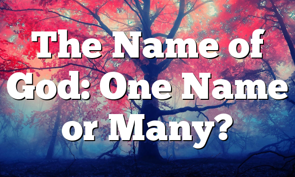 The Name of God: One Name or Many?