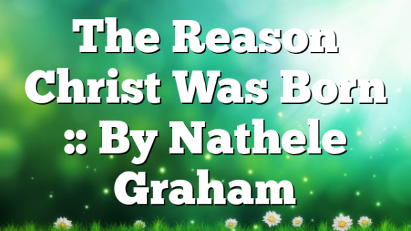 The Reason Christ Was Born :: By Nathele Graham