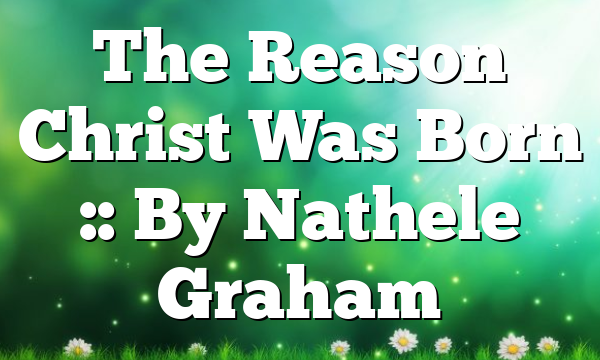 The Reason Christ Was Born :: By Nathele Graham