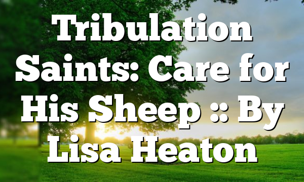 Tribulation Saints: Care for His Sheep :: By Lisa Heaton