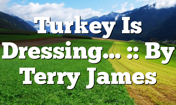 Turkey Is Dressing… :: By Terry James