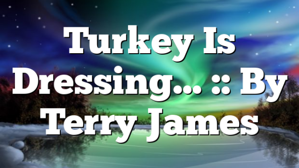 Turkey Is Dressing… :: By Terry James
