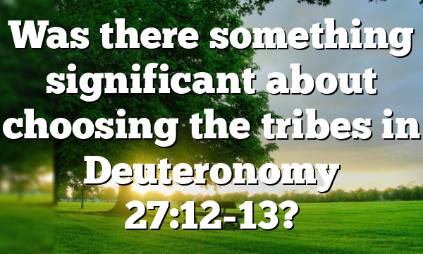 Was there something significant about choosing the tribes in Deuteronomy 27:12-13?