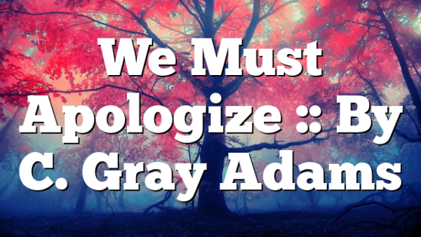 We Must Apologize :: By C. Gray Adams