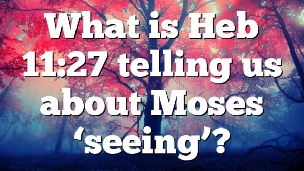What is Heb 11:27 telling us about Moses ‘seeing’?