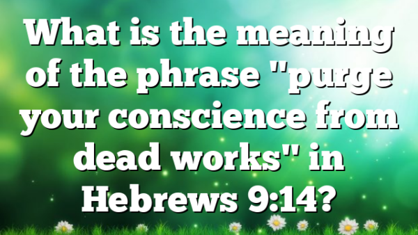 What is the meaning of the phrase "purge your conscience from dead works" in Hebrews 9:14?