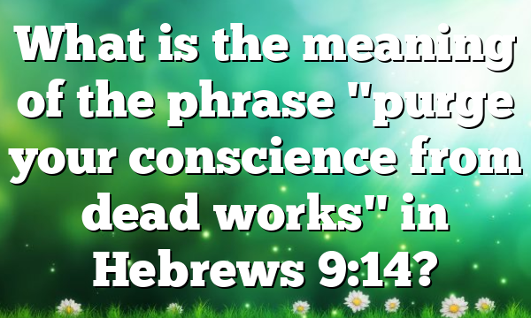 What is the meaning of the phrase "purge your conscience from dead works" in Hebrews 9:14?