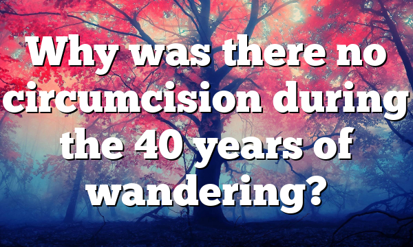 Why was there no circumcision during the 40 years of wandering?