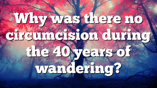 Why was there no circumcision during the 40 years of wandering?