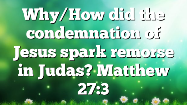 Why/How did the condemnation of Jesus spark remorse in Judas? Matthew 27:3