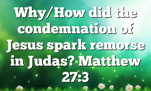 Why/How did the condemnation of Jesus spark remorse in Judas? Matthew 27:3