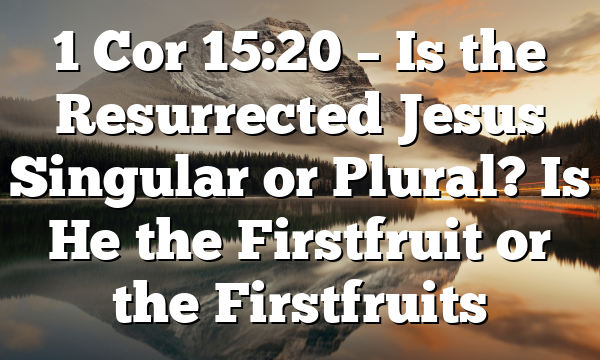 1 Cor 15:20 – Is the Resurrected Jesus Singular or Plural? Is He the Firstfruit or the Firstfruits