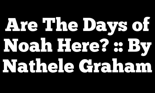 Are The Days of Noah Here? :: By Nathele Graham
