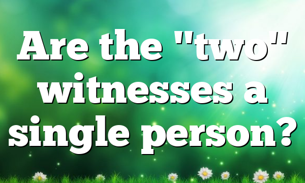 Are the "two" witnesses a single person?