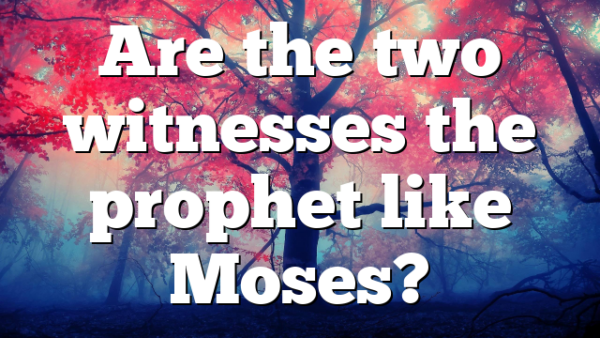 Are the two witnesses the prophet like Moses?