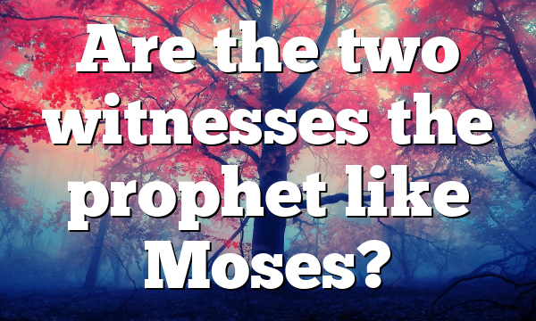 Are the two witnesses the prophet like Moses?