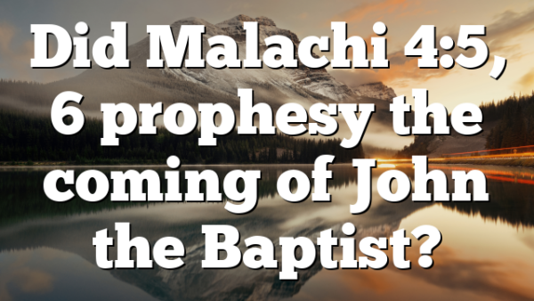 Did Malachi 4:5, 6 prophesy the coming of John the Baptist?
