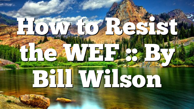 How to Resist the WEF :: By Bill Wilson