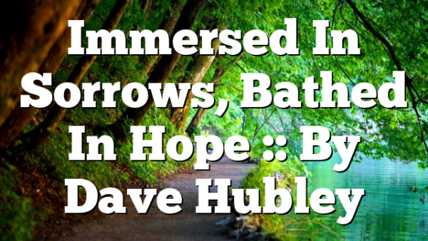 Immersed In Sorrows, Bathed In Hope :: By Dave Hubley