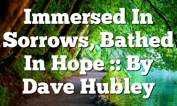 Immersed In Sorrows, Bathed In Hope :: By Dave Hubley
