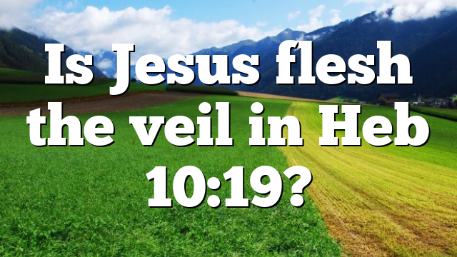 Is Jesus flesh the veil in Heb 10:19?